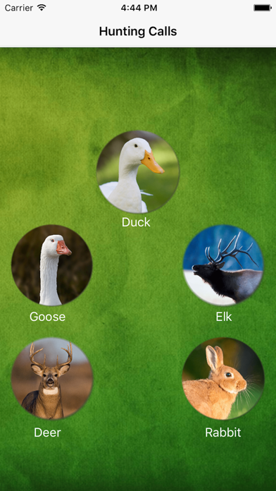 Hunting Calls 2016 Screenshots