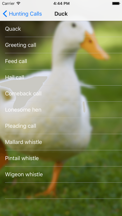 Hunting Calls 2016 Screenshots