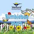 Bumblebee Math