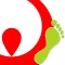 VES CO2 TOOL