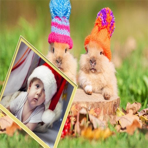 Professional Photo Frame And Pic Collage Professional Photo Frame And Pic Collage