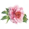 Happy Mothers Day Sticker Pack