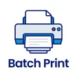 Batch Print ⁺