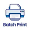 Batch Print ⁺