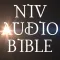 NIV Audio Bible