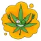 Mr.Weed