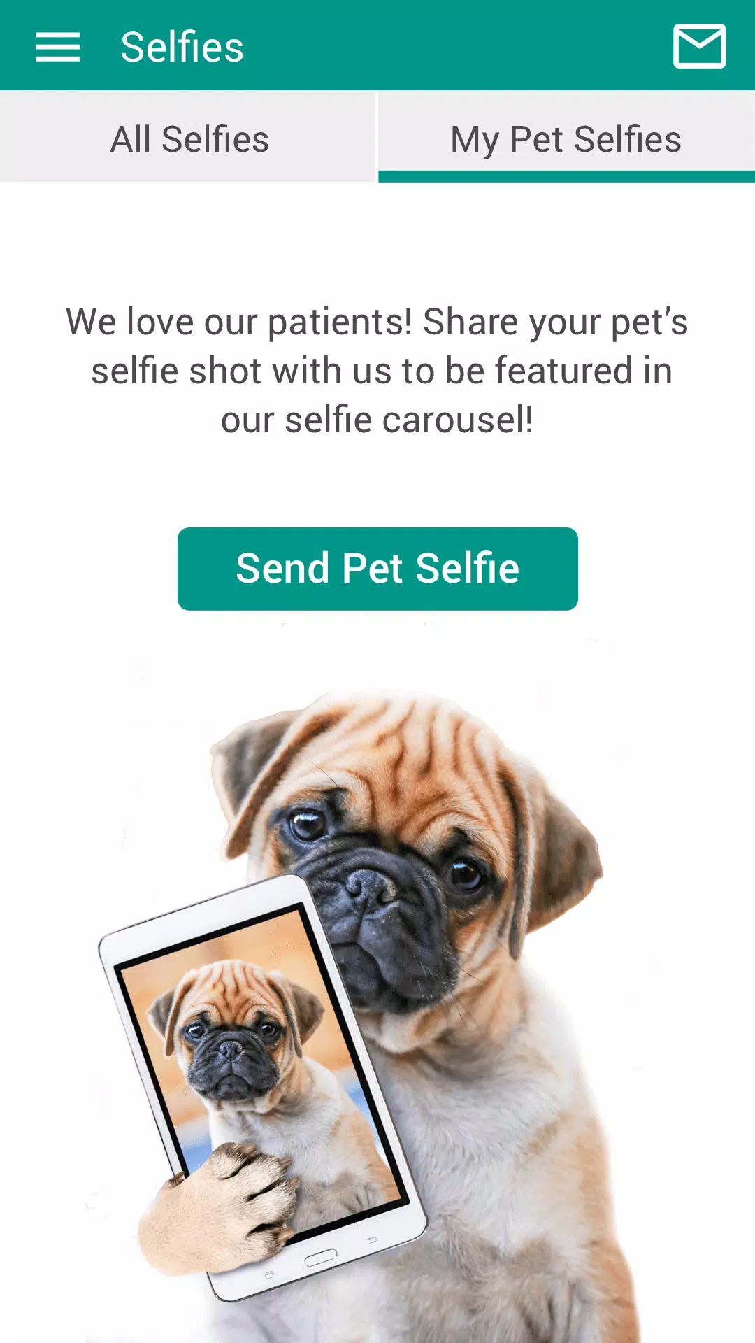 Centerville Animal Hospital Screenshots