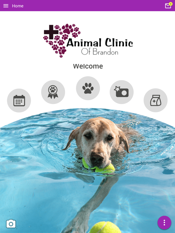 Animal Clinic of Brandon iPad Screenshots