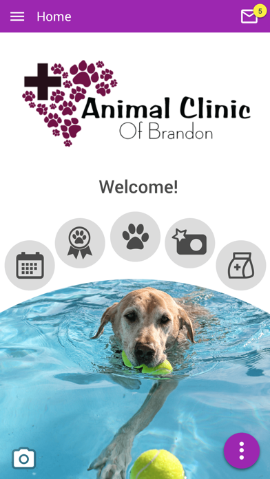 Animal Clinic of Brandon Screenshots