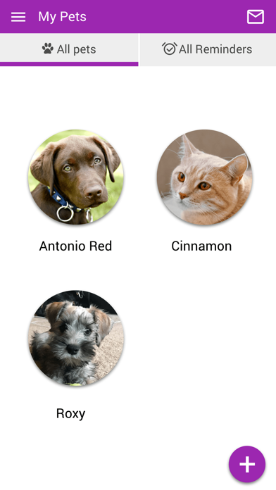 Animal Clinic of Brandon Screenshots