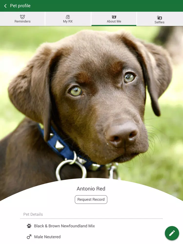 Aurora Veterinary Clinic iPad Screenshots