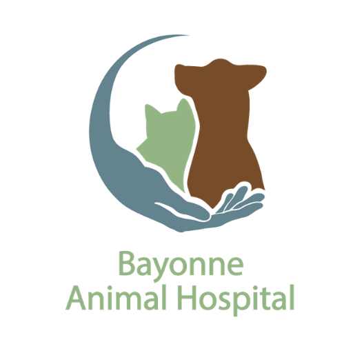 Bayonne Animal Hospital Bayonne Animal Hospital