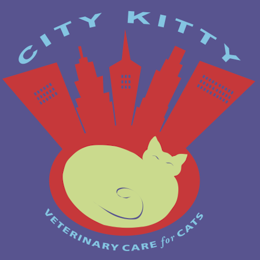 City Kitty Vet