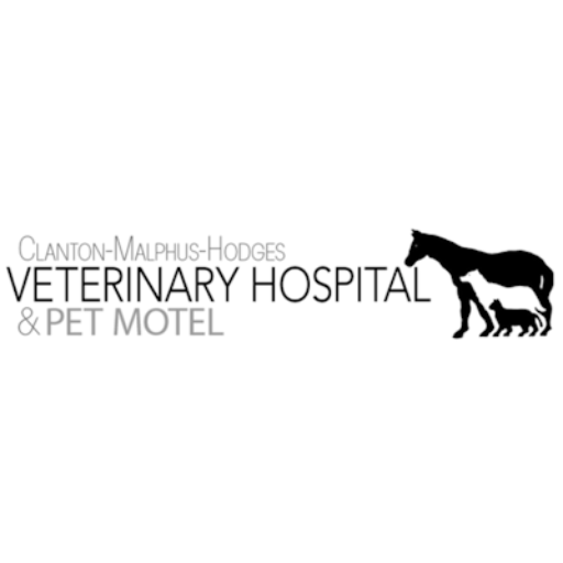CMH Vet