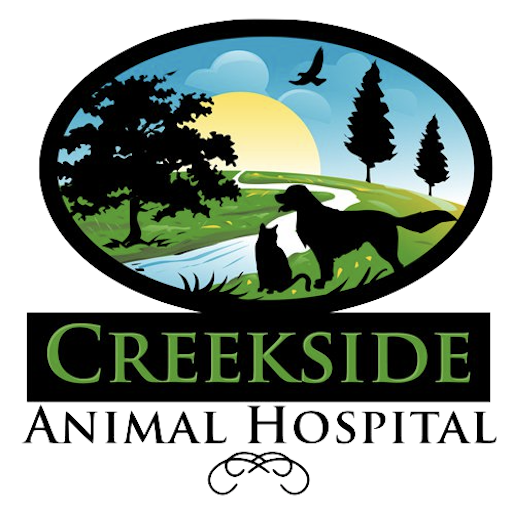 My Creekside Vet