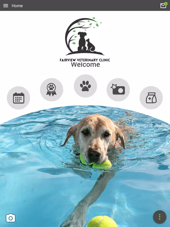 Fairview Veterinary Clinic iPad Screenshots
