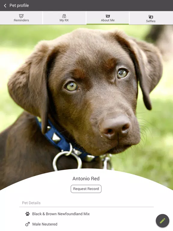 Fairview Veterinary Clinic iPad Screenshots