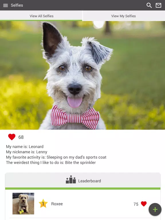 Fairview Veterinary Clinic iPad Screenshots