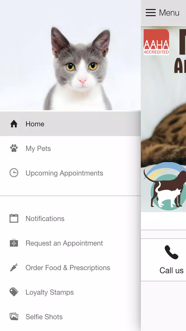 My Pets Lakeland Screenshots
