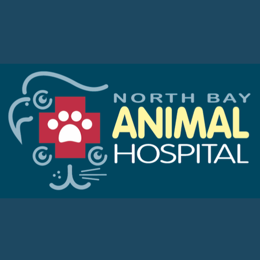 NBAH Tampa Bay