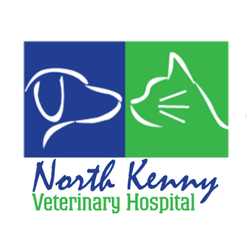 North Kenny Vet Hospital