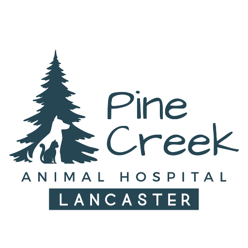Pine Creek AH Lancaster