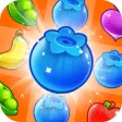 New Blast Jam - Jelly Sugar