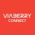 Viaberry Connect School
