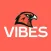 Bozeman High School VIBES