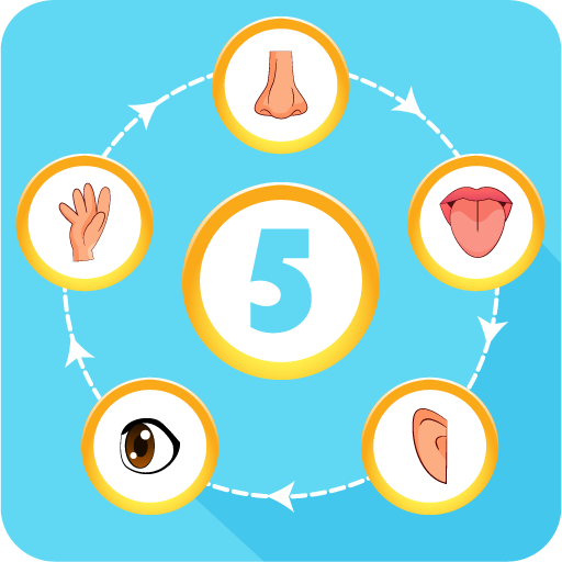 5 Senses