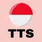 Teks ke ucapan alami - TTS