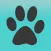 The Pack App