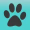 The Pack App