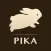 AI Pika Art-AI Video Generator