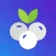 Blueberry - Point of Sale