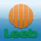 Leeb ViewAR