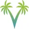 My Vincy