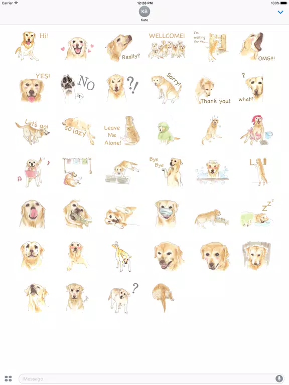 Watercolor Labrador Retriever iPad Screenshots