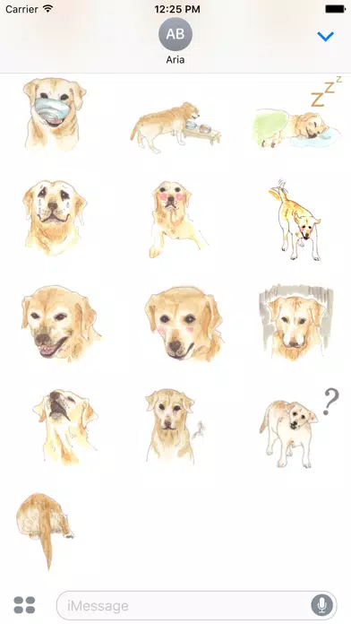 Watercolor Labrador Retriever Screenshots