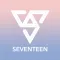 Seventeen Light Stick