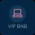 VIP BNB SOLUTIONS