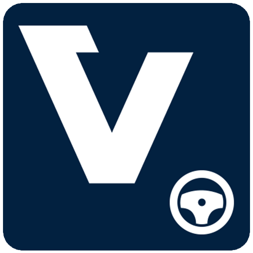 VIP Taxi driver