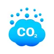 Combustion of Carbon Compounds