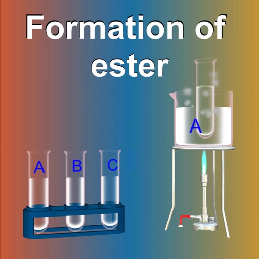 Formation of Ester Formation of Ester