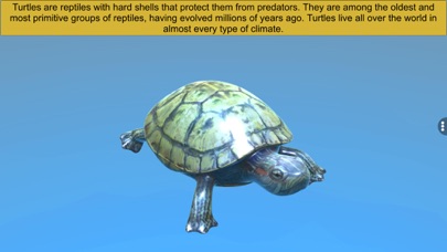 Diversity in Living: Reptilia Screenshots