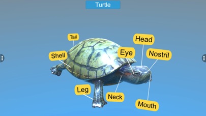 Diversity in Living: Reptilia Screenshots