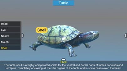 Diversity in Living: Reptilia Screenshots