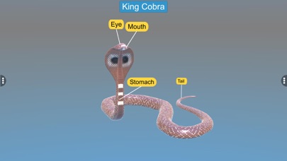 Diversity in Living: Reptilia Screenshots