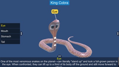 Diversity in Living: Reptilia Screenshots