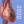 Physiology & Pathology